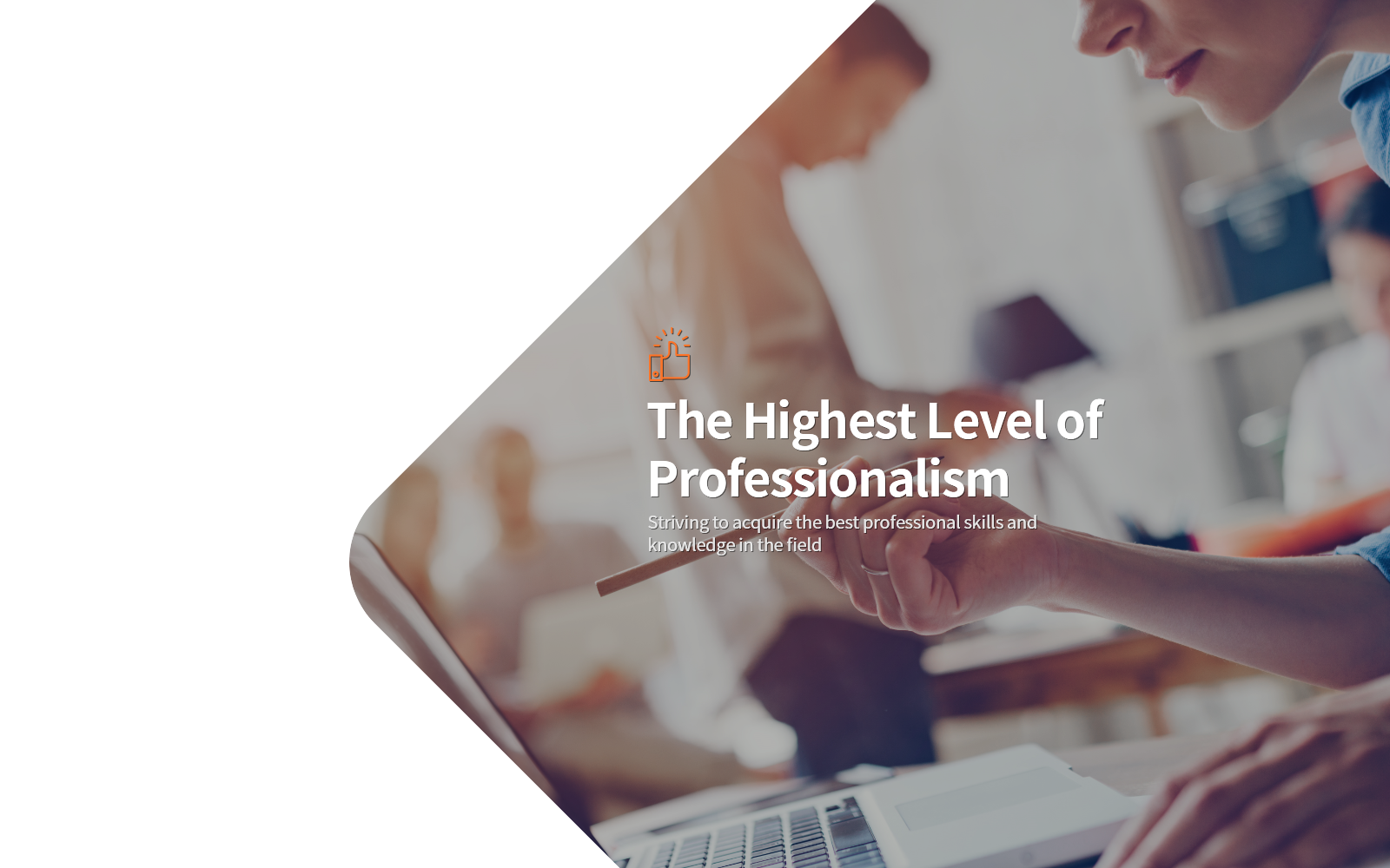 The Highest Level of Professionalism